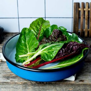 PIKI-in TRADE | Sve za vaš dom