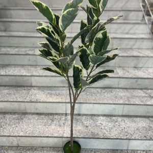 PIKI-in TRADE | Sve za vaš dom