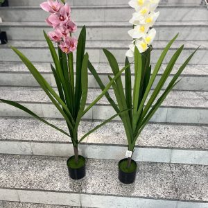 PIKI-in TRADE | Sve za vaš dom